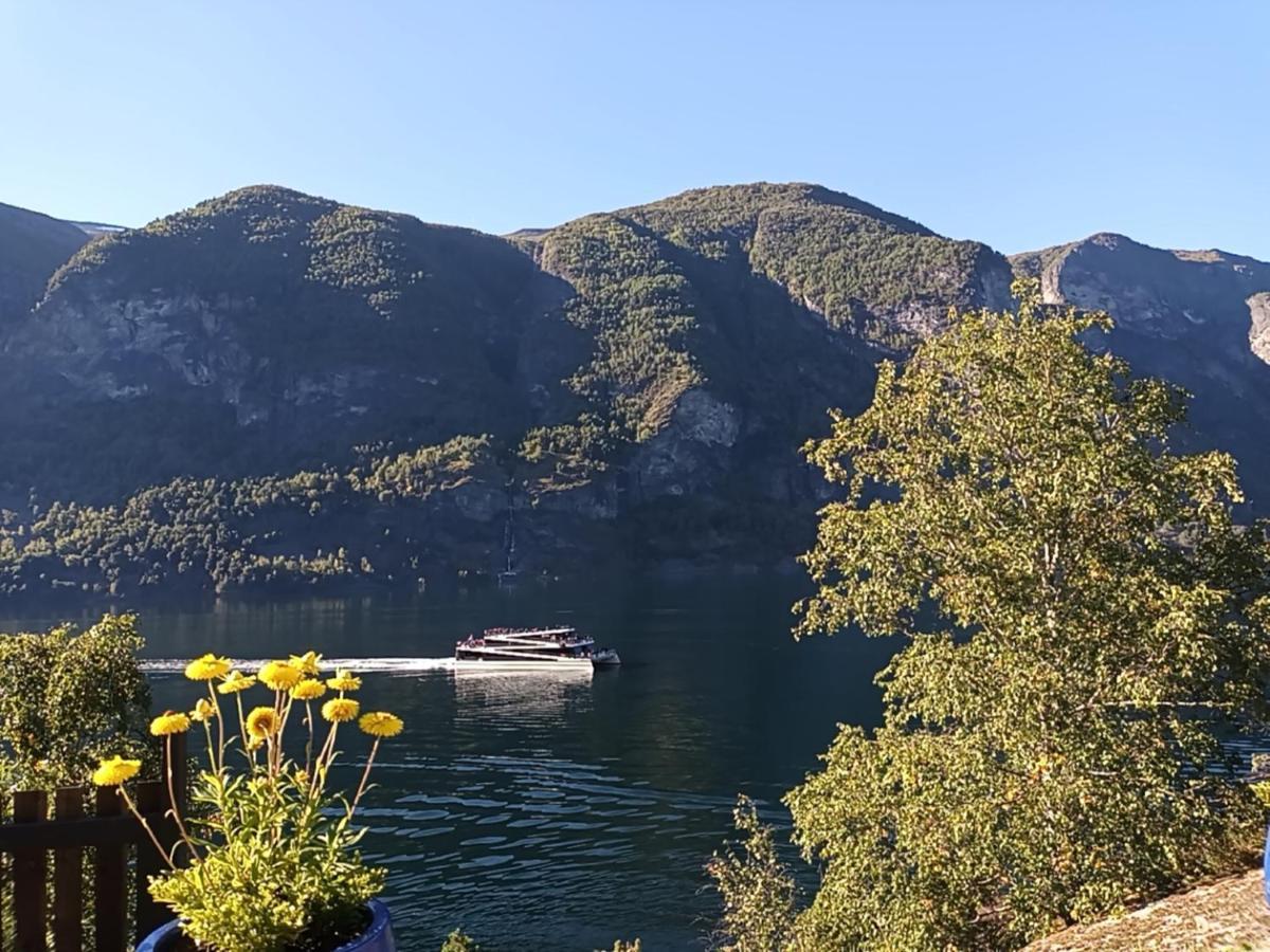 Otnes Sor Apartamento Aurland Exterior foto